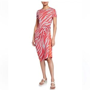 Rag & Bone Ina Ruche Tiger-Stripe Midi Dress